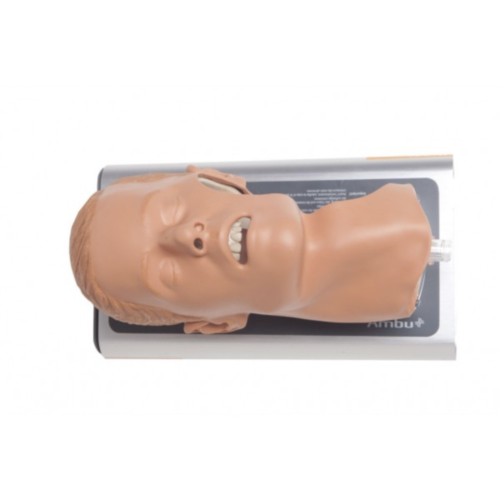 Ambu Intubationstrainer - 10901