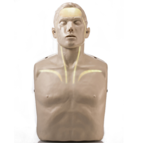 Brayden Reanimationsmodell mit weißen LEDs