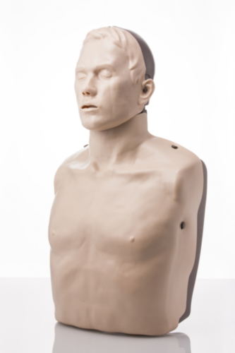 Brayden Reanimationsmodell mit weißen LEDs - 6653